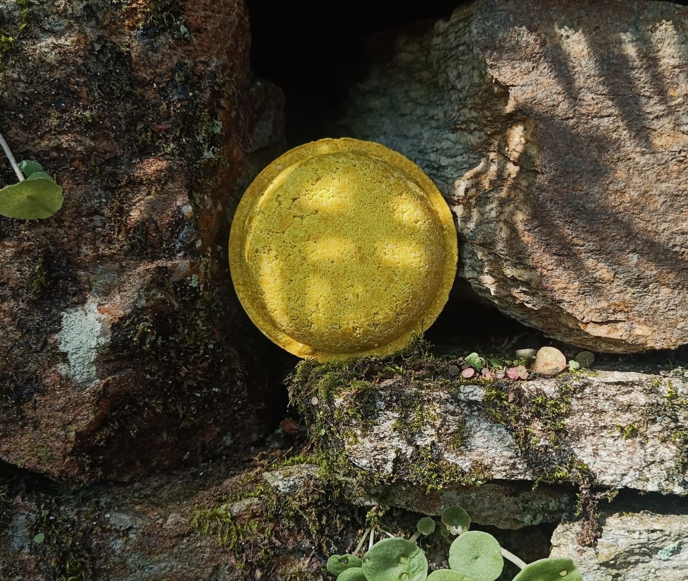 Champú Avena y Cúrcuma